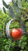 Apple Bird Feeder